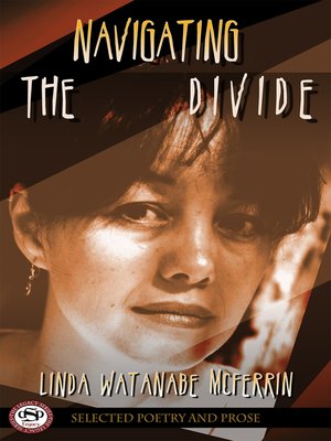 cover image of Navigating the Divide